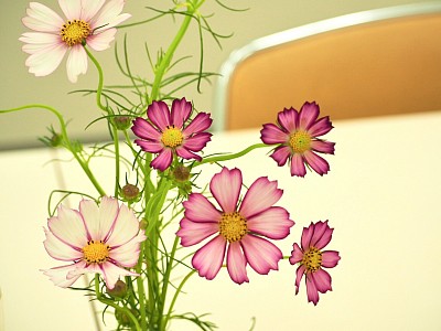 花と植物画